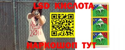 СК Пугачёв