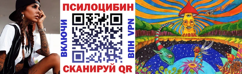 Галлюциногенные грибы Psilocybe Сегежа