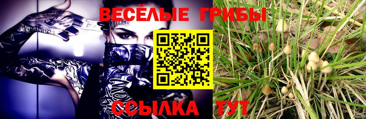 Псилоцибиновые грибы мухоморы Сегежа