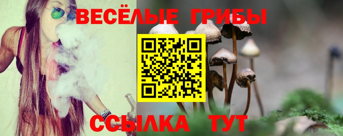 Псилоцибиновые грибы GOLDEN TEACHER  Вход с VPN  что такое наркотик  Сегежа  Галлюциногенные грибы Cubensis 