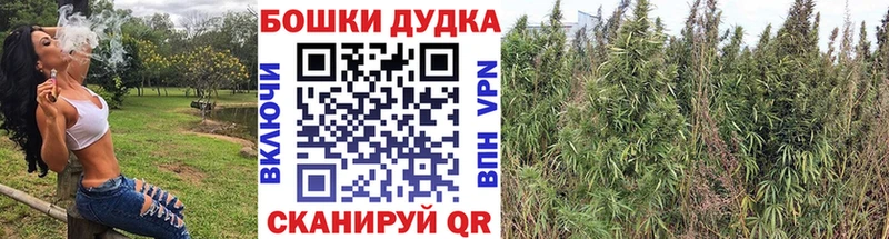 Канабис планчик Сегежа